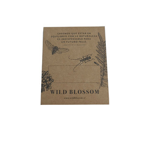 Benutzer definierter Druck Small Seed Kraft Paper String Tie Envelope - Product Image 4