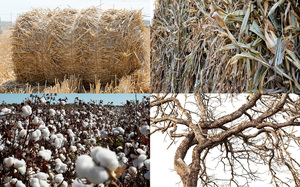 Trung Quốc quy mô lớn Máy kéo điều khiển rơm Bale Shredder cho gia súc của thức ăn búa cỏ Cutter Mill Crusher - Product Image 6