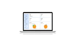 Creazione di un'applicazione agente per il controllo e il monitoraggio dell'inventario delle immobilizzazioni migliorati - Product Image 5