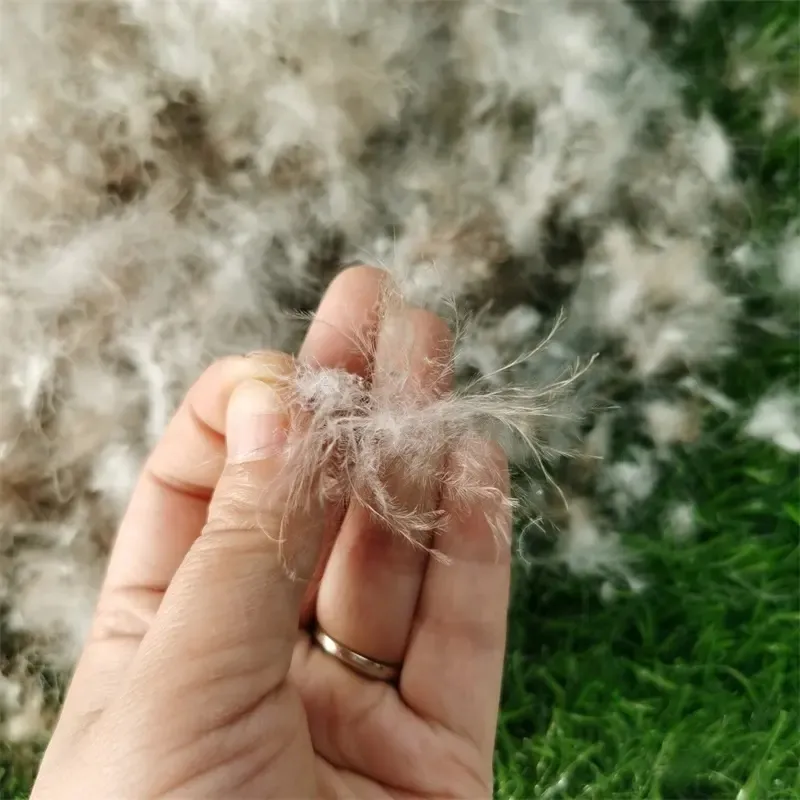 Edredor de penas para acolchoamento, 95% pena de pato cru e para baixo, com alta qualidade, natural, lavável, materiais de enchimento de pato