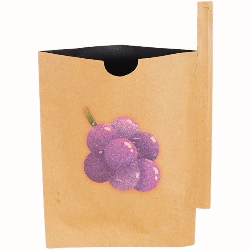 18x28cm कस्टम आकार कम कीमत उच्च गुणवत्ता डबल परत फल को कवर कागज बैग आम अंगूर बढ़ रही संरक्षण कवर बैग