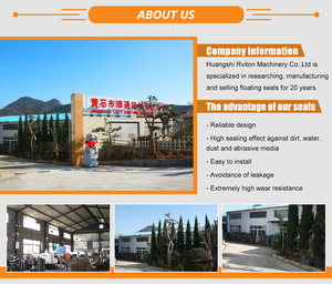 CR Duo Cone cơ khí mặt con dấu nhóm DF loại cr124020 kim loại mặt nổi con dấu - Product Image 3