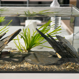 Relaxlines Thân Thiện Với Môi 30L Hiệu Quả Side Lọc Aquarium <span class=keywords><strong>Fish</strong></span> <span class=keywords><strong>Tank</strong></span> Máy Tính Để Bàn Thủy Tinh Aquarium <span class=keywords><strong>Fish</strong></span> <span class=keywords><strong>Tank</strong></span> Đối Với Trang Chủ - Product Image 2