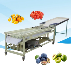 Macchina per la calibrazione della selezione della frutta di Avocado - Product Image 5