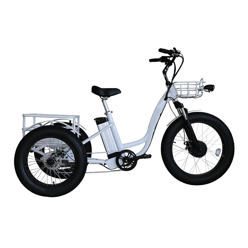 High Quality 3 Wheel Ebike Electric Bike 750w 48V 13Ah High Power Electric Tricycle for Sale
