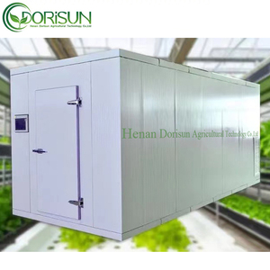 Landwirtschaft Gewächshaus Aeroponik System Blatt Gemüse behälter Farm Hydro ponics Indoor Vertical Farming Growing