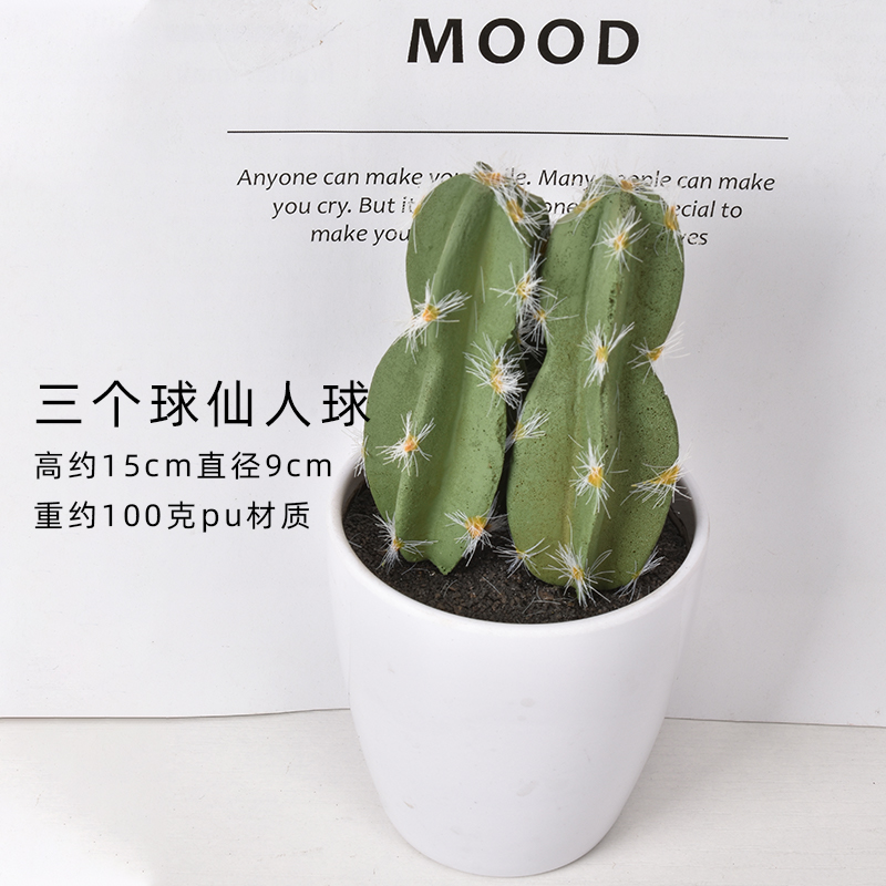Trois boule de cactus