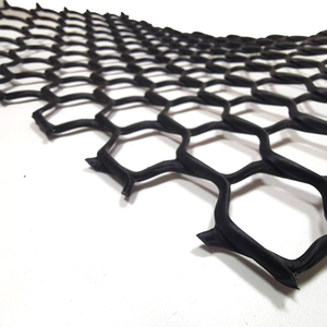HDPE geonet Армирующая пластиковая сетка geonet - Product Image 1
