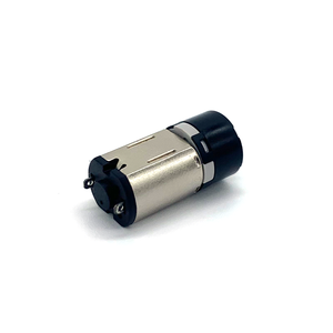 Kunden spezifischer Niederspannungs-1, 5-V-3-V-DC-Getriebemotor mit 10mm Durchmesser und kleinem Getriebe motor für Smart-Home-Modelle Arduino Projects Automation