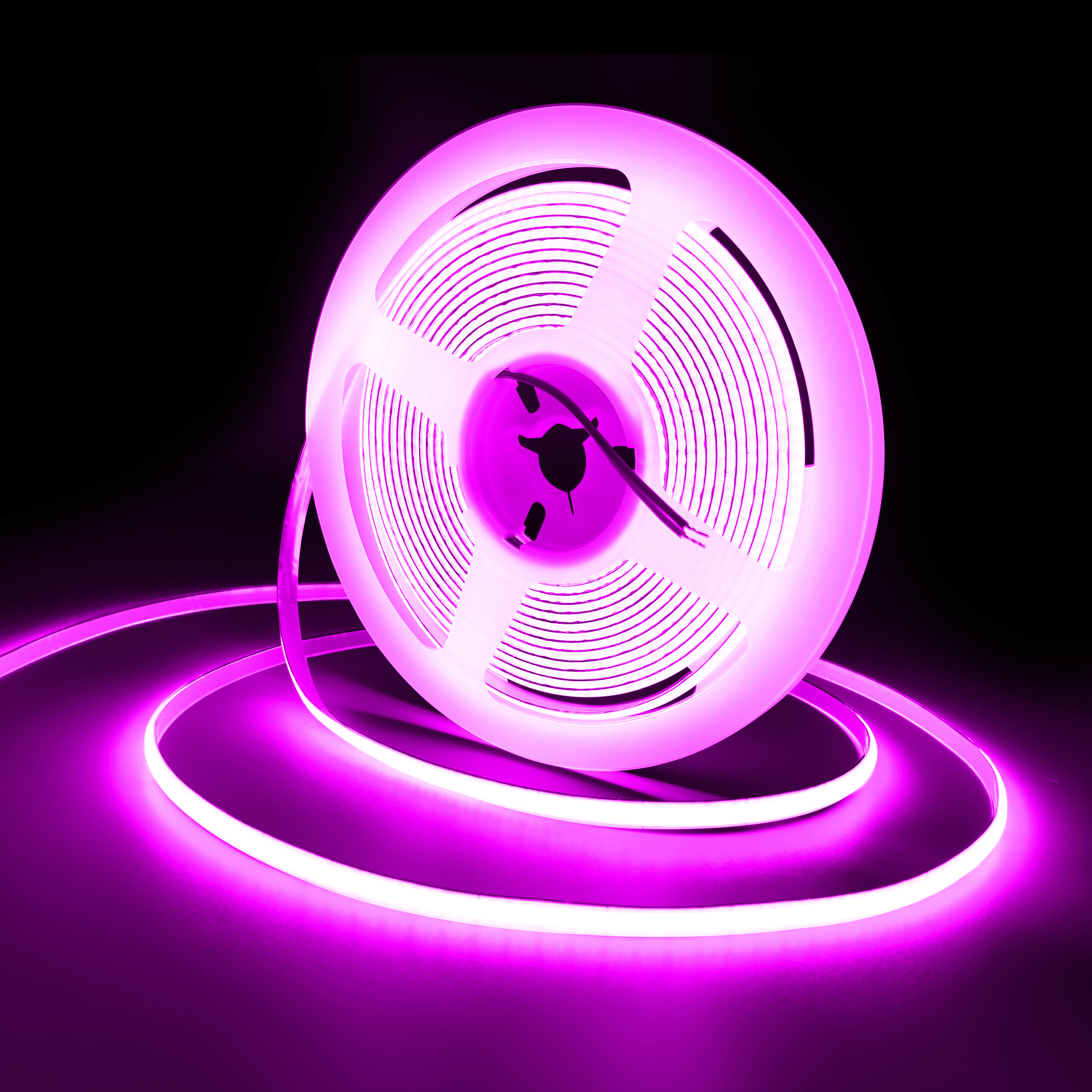 Viola