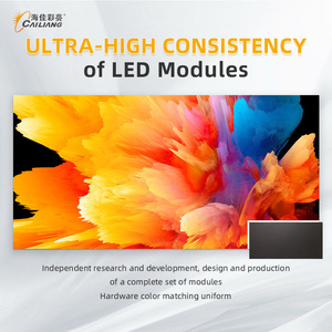 Светодиодный модуль D1.25 D1.53 RGB SMD видео в помещении Звездный пиксельный чип режим Pitch Origin Pixels, Гарантийный привод, светодиодный дисплей - Product Image 4