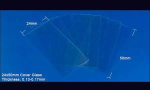 High Quality Medical clear <strong>Microscope</strong> Glass Cover <strong>Slides</strong> Cover Glass for <strong>Lab</strong> <strong>Use</strong> - Product Image 4