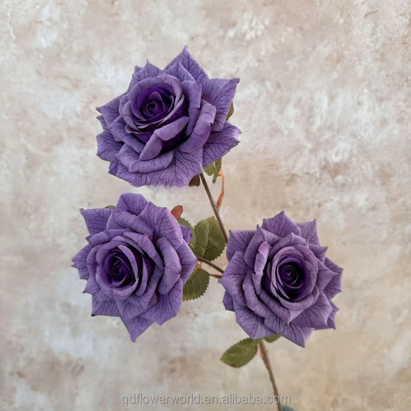 #7 dark purple