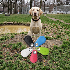 Портативный GPS Pet Tracker 4G сетевой силиконовый материал Android IOS совместимый Android приложение видимое отслеживание позиционирования вашего питомца - Product Image 2