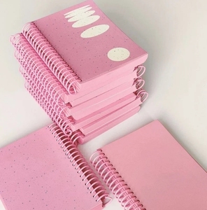 Scuola scrittura carta risparmio rosa senza data data data mese di bilancio finanziario pianificatore di bilancio giornale personalizzato a spirale taccuino per le ragazze - Product Image 1