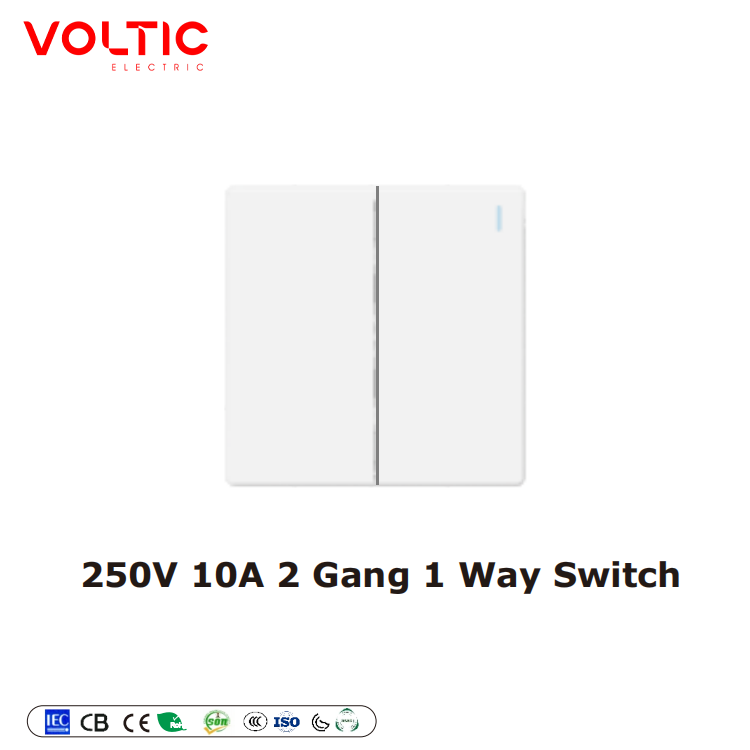2 gang 1 way plate switch