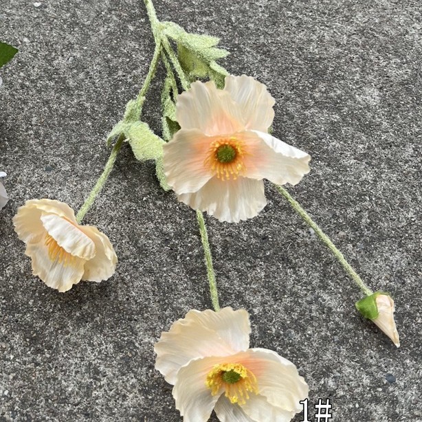 014 tête de coquelicot champagne