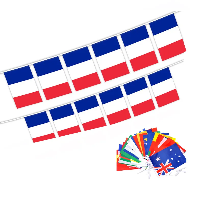 Drapeau extérieur personnalisé de 14*21cm en polyester drapeau de bruant France National cordes suspendues drapeau de bruant pour événement sportif