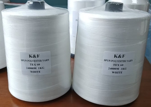 100% 紡糸ポリエステル縫製糸染め衣服縫製糸Tex40 Tex27 Tex45 Tex60