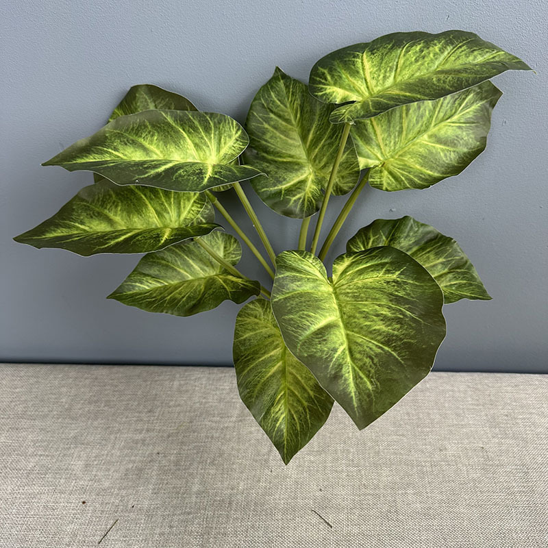 Green 6
