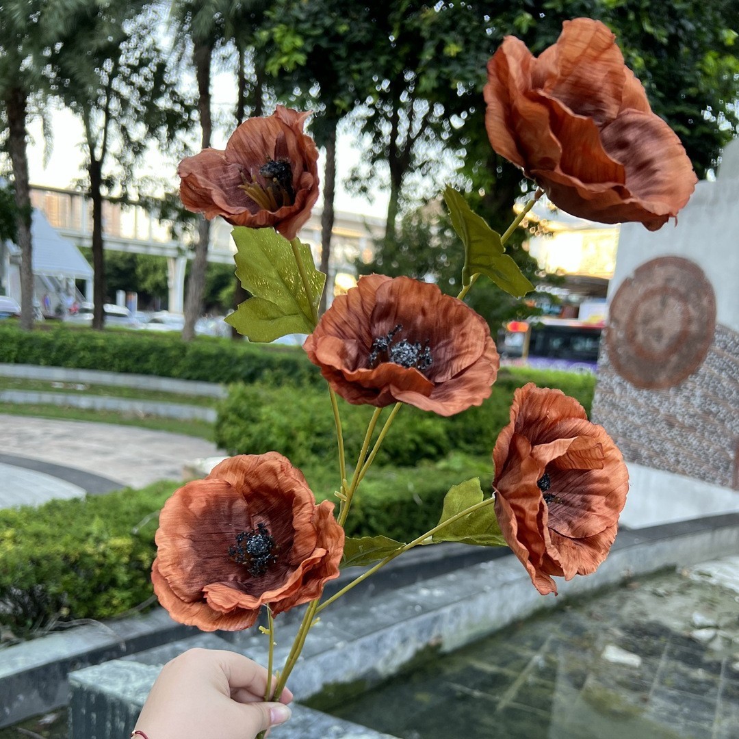Café Coquelicot