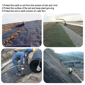 Steel Grid Geomats Steel Reinforced Geomat Gabion with Steel Grid <strong>Mesh</strong> Gabion <strong>Wire</strong> with Plastic <strong>Mesh</strong> - Product Image 6