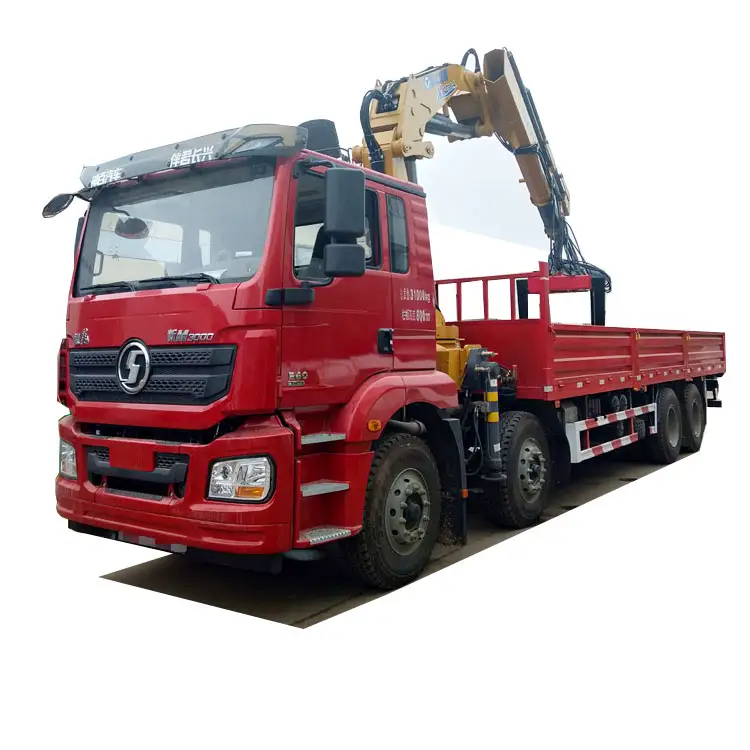 Xuangshangong 8x4 pliable 12ton, pour camion d'occasion, grue à monter