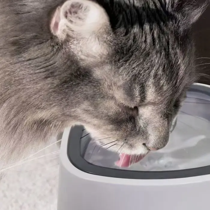 Mangkuk basah anti cipratan plastik tempat minum anjing, mangkuk air mengambang anjing kucing