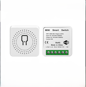 SIXWGH DIY MINI 16AリレーモジュールアダプターTuya ZigbeeスマートウォールスイッチスマートライフAPPタイミングワークスGoogle Home Alexa Max - Product Image 1