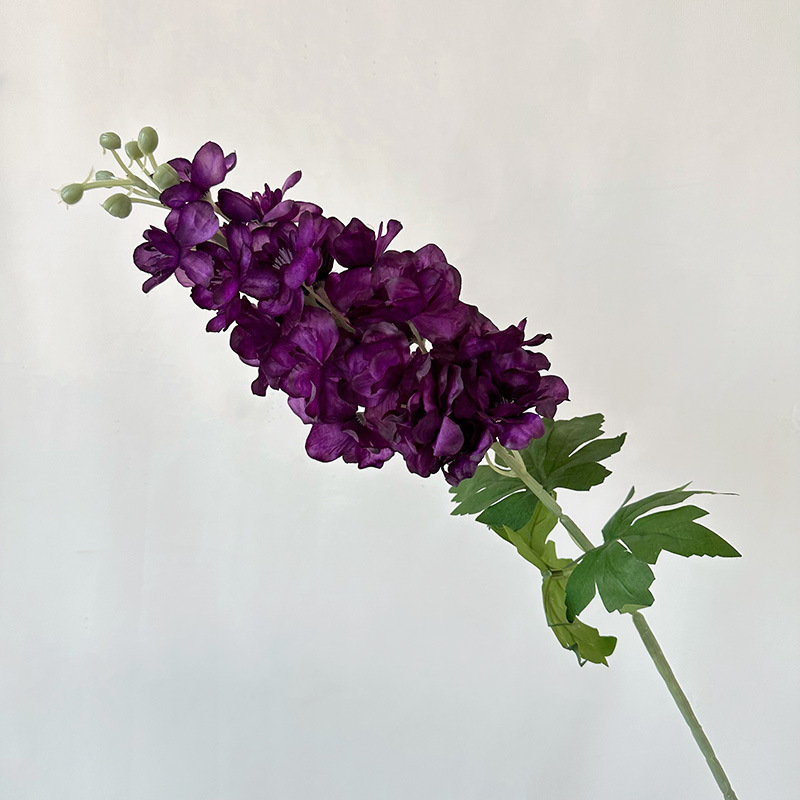Old Larkspur, violet foncé
