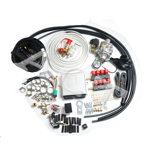 CNG/LPG Autogas Abgeschlossenes Kit für sequentielles Einspritz system/Mehr punkts ystem 8 Zylinder Dual Fuels Factory