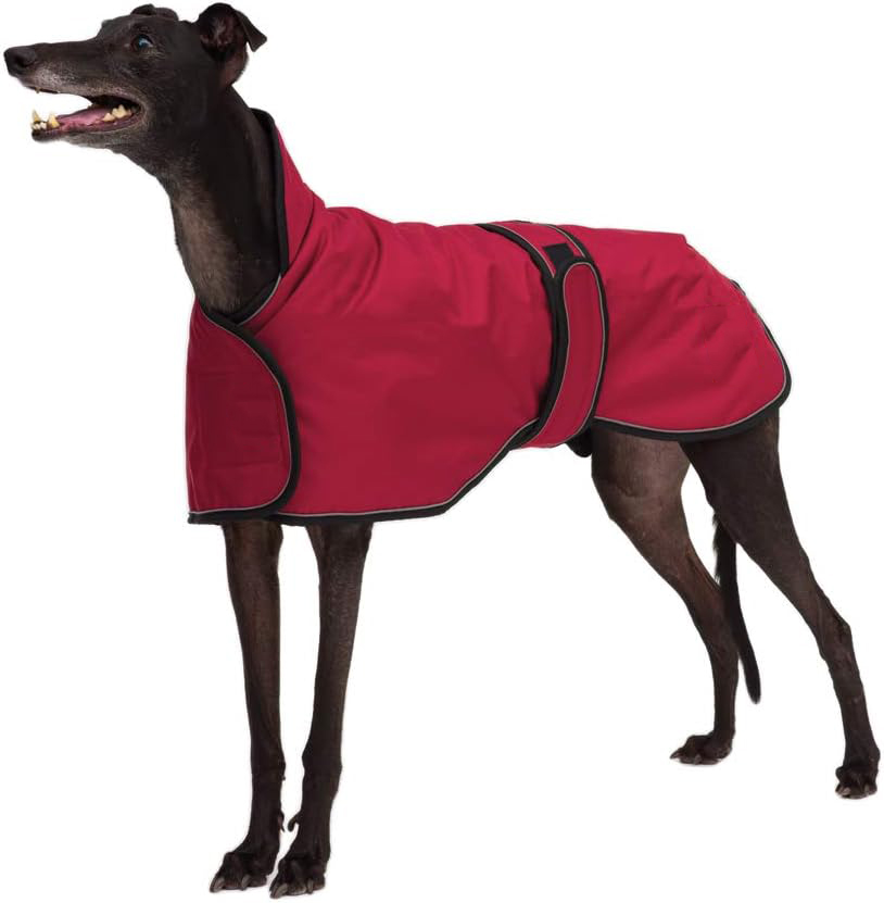 Rojo