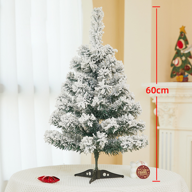 60cm