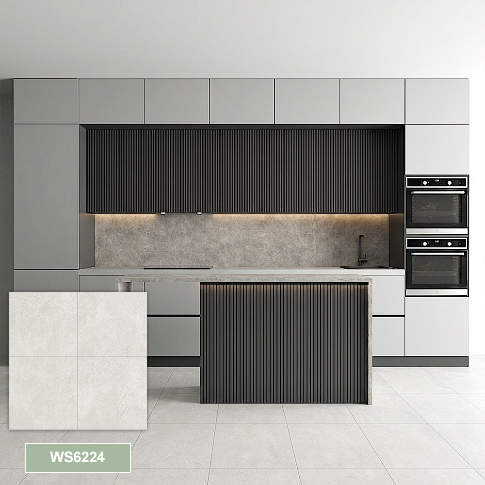 WS6224