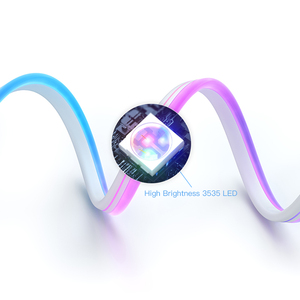 Popüler IP67 DC12V 24V RGB 5M/rulo 6*13MM 8*17MM Neon LED RGB şerit işık Led Flex Neon ışıkları - Product Image 4