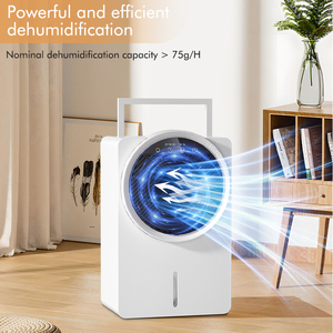 Deumidificatore elettrico Oem Air Dryer 2500ML/giorno con spegnimento automatico 7 colori LED luce sonno modello per tutta la casa deumidificatore