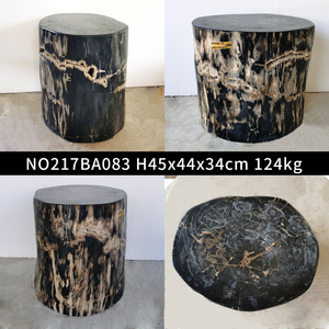 Taşlaşmış ahşap taş fosil ahşap yan masa fosil tabure - Product Image 6