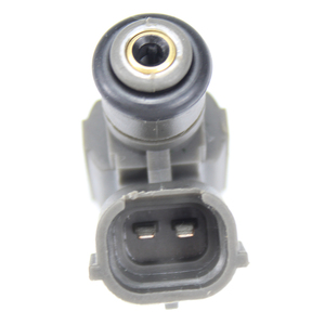 Holden için 8-9731-8620-0 <span class=keywords><strong>8973186200</strong></span> yakıt enjektörü