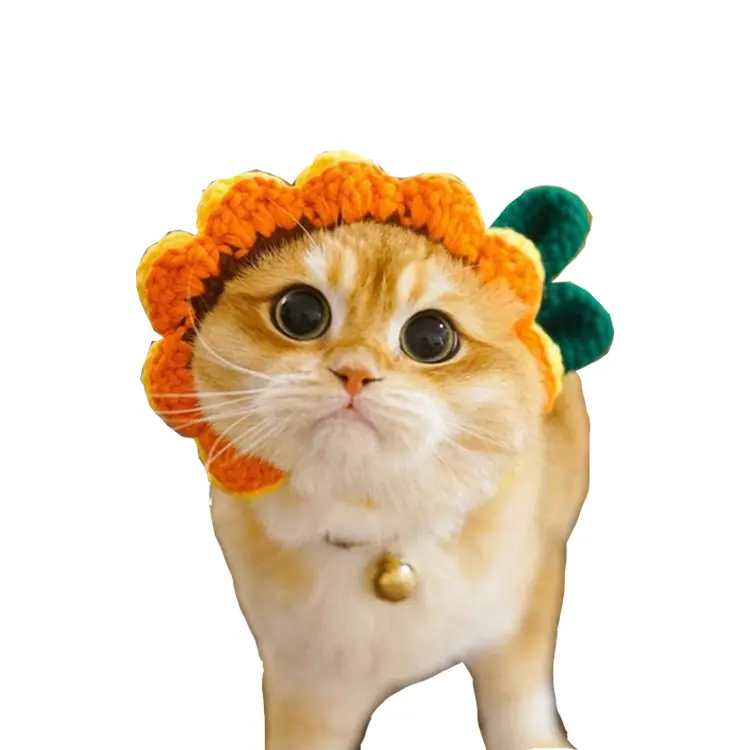 Peluş Pet parti şapka: el işi Pet şapkalar-kediler ve köpekler için eğlenceli hayvan kostüm, sevimli Pet aksesuar
