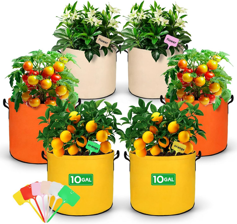 10