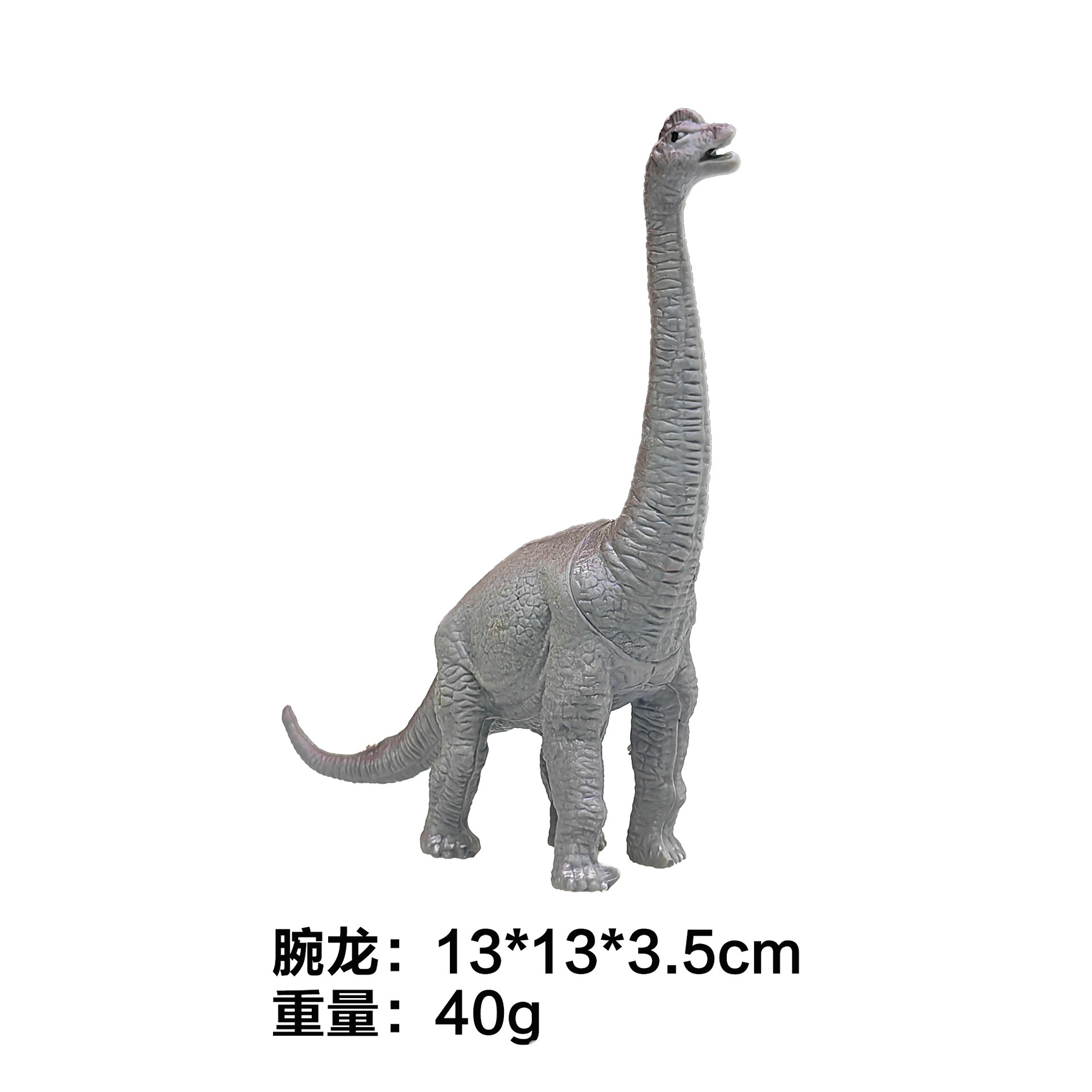 Brachiosaure creux de 7 pouces