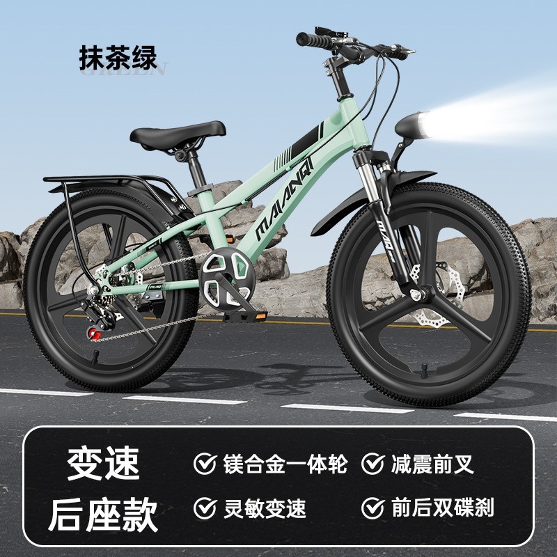 eed wheel-shock-absorbing dual dis brakes-co