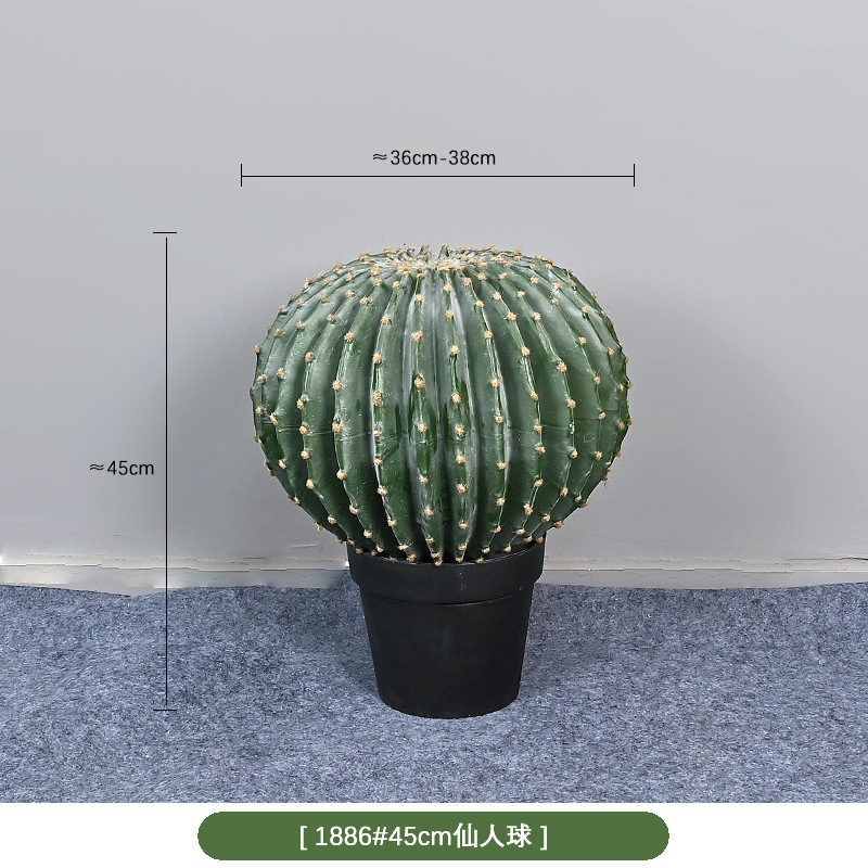 1886 #45cm cactus