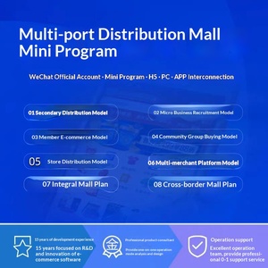 Разработка мини-программ для публичных аккаунтов, создание платежных систем, распределение в торговых центрах, разработка систем возврата средств, дизайн, индивидуальные услуги, продвижение - Product Image 2