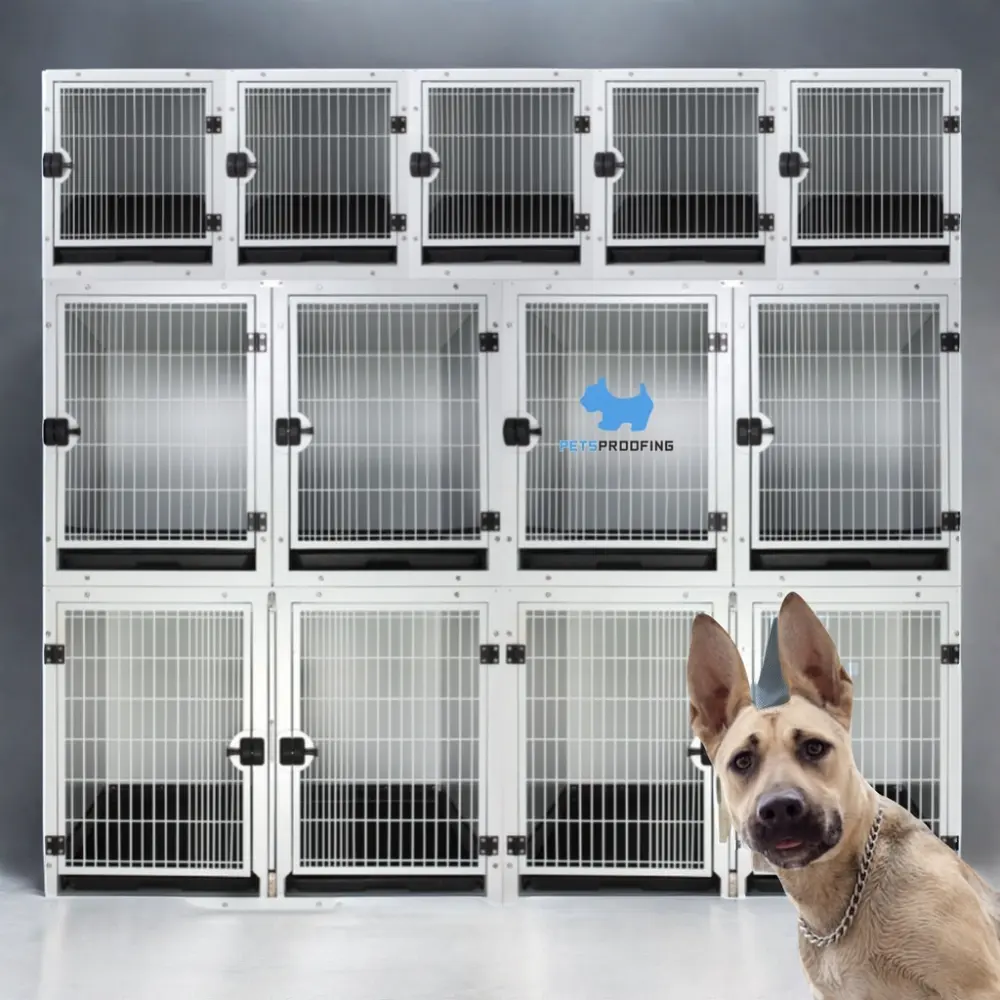 Cage vétérinaire de luxe en acier inoxydable pour animaux de compagnie Chenil modulaire robuste pour animaux d'élevage avec murs solides pour cliniques et vétérinaires