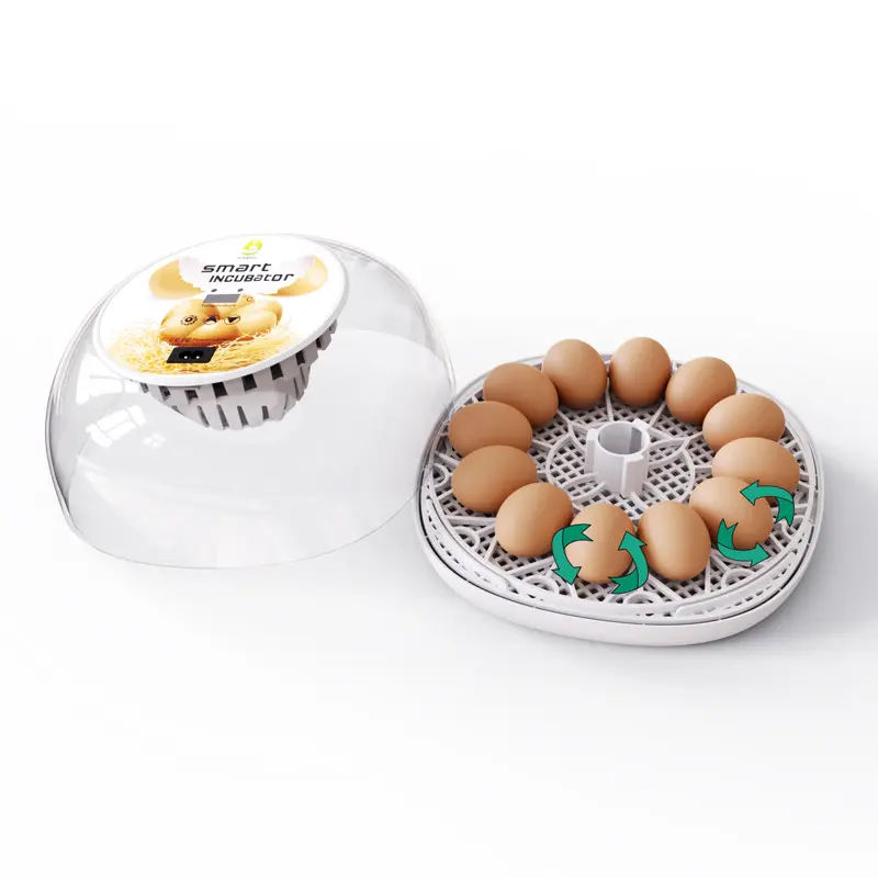 Tigarl nhà sử dụng mini 12 lồng ấp trứng nở với độ ẩm hiển thị và candler hoàn toàn tự động