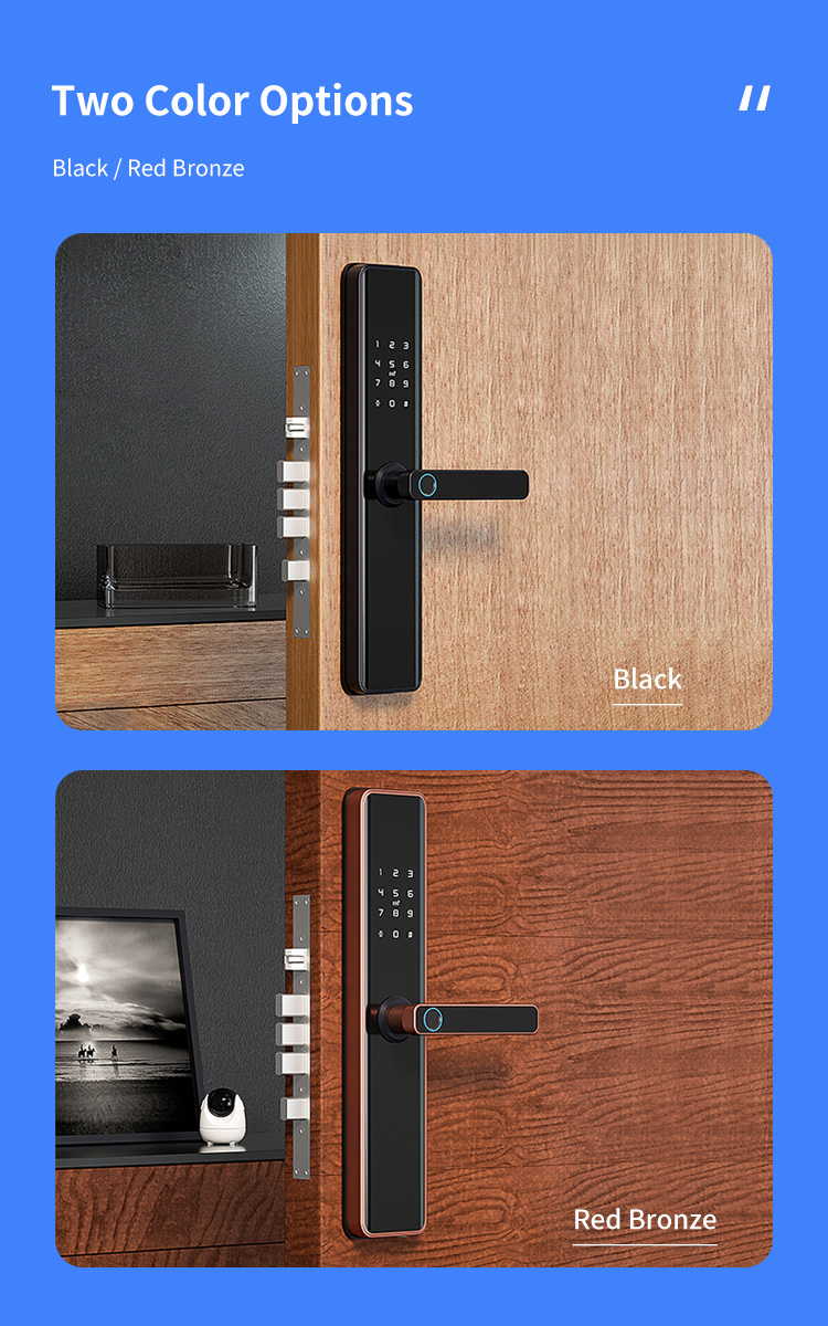Economic Keyless Handle Fingerprint Door Lock with Wifi Tuya APP