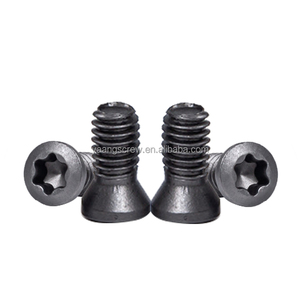 Inserire il grado di vite in carburo 12.9 lega di acciaio inossidabile M2 M2, 5 M3 M4 M5 M6 tornio barra utensile per tornio inserto CNC vite Torx - Product Image 3