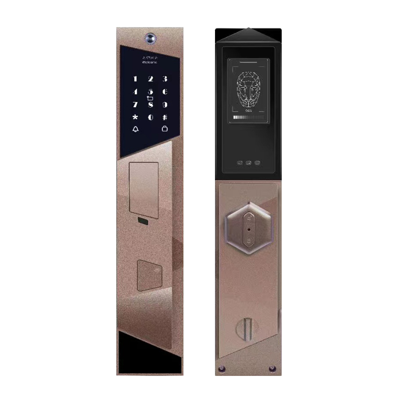 Competitive Price Qleung S923 Intelligent USmart GO Wifi APP Lock Password Card Biometric Fingerprint Smart Lock Door