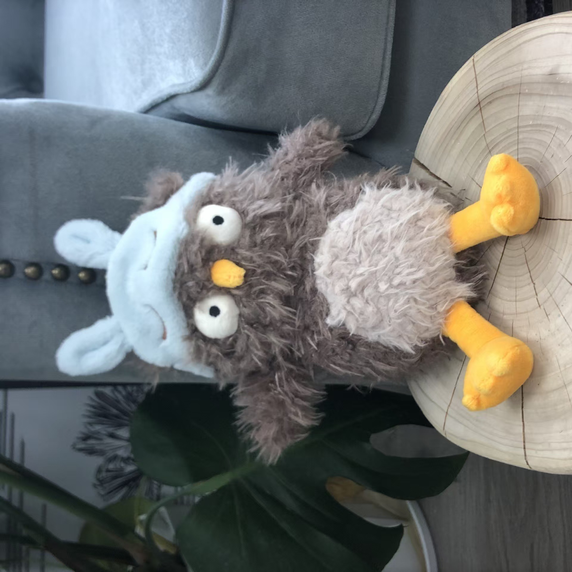 Deli oeil hibou 18cm